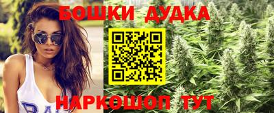 молекула духа Кулебаки