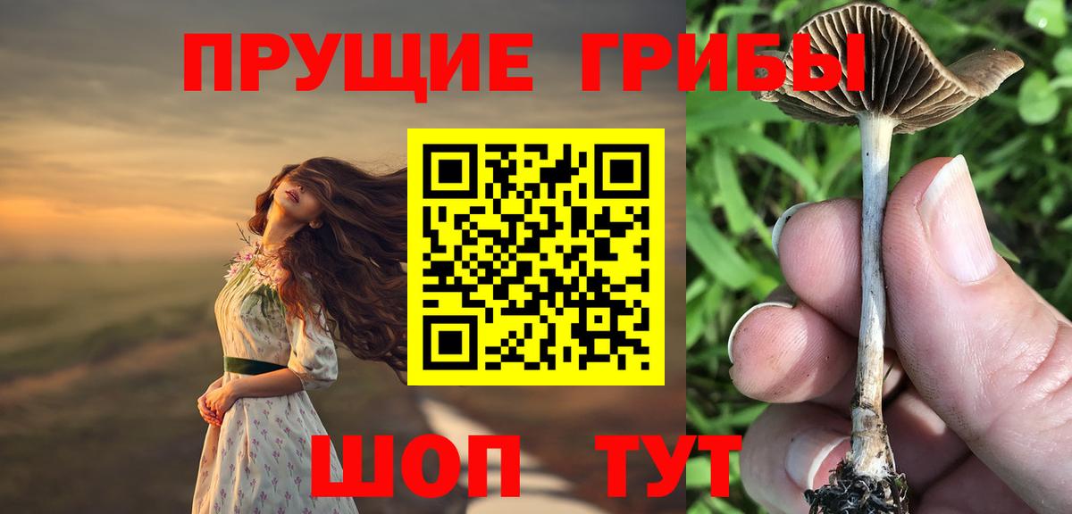 Псилоцибиновые грибы мицелий  Вход с VPN  Псилоцибиновые грибы GOLDEN TEACHER  Карачаевск 